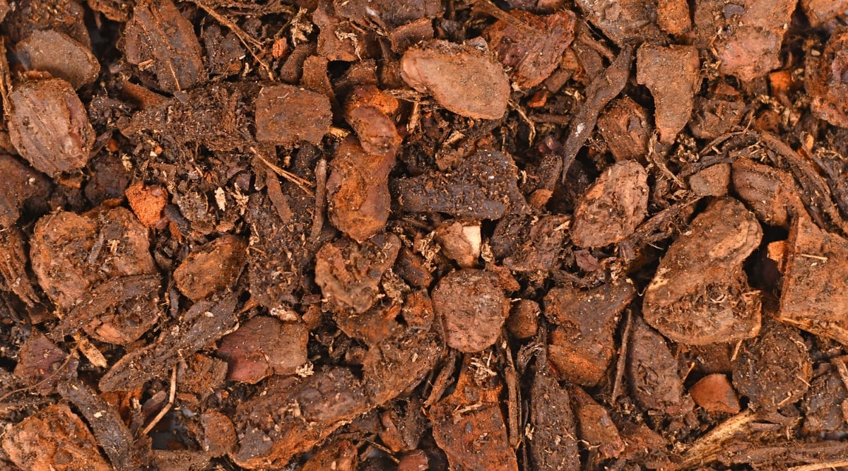 This close-up shows a mixture of orchid potting media from above. The media is mostly brown bark pieces in various sizes, with some smaller, white perlite chunks and tan-colored coarse sand mixed in.