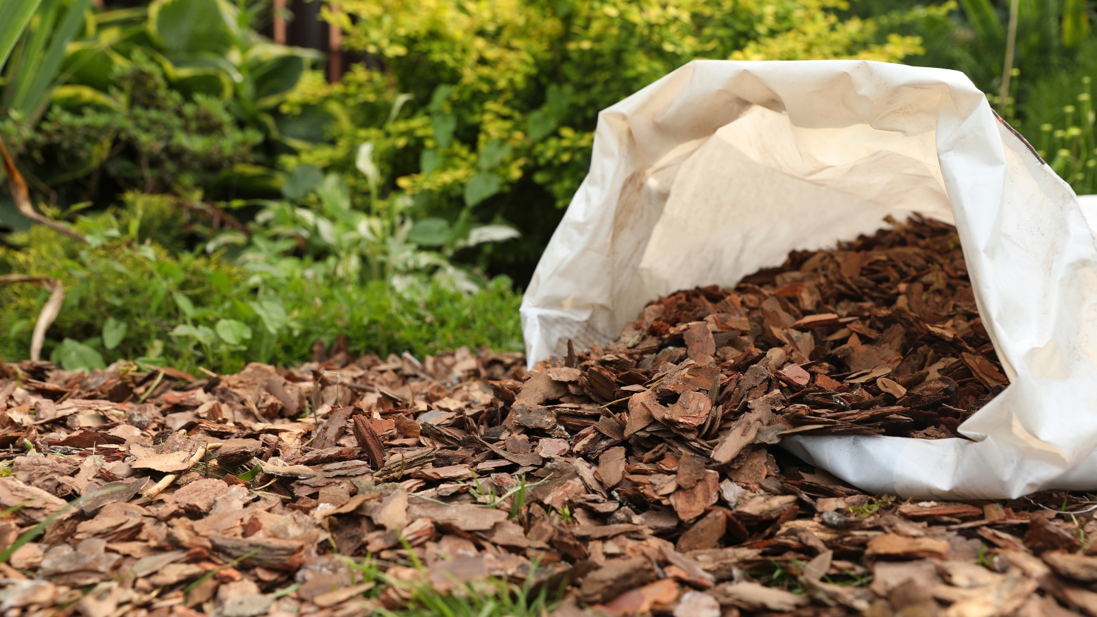 A sack full of mulch, spread on the ground of a garden.